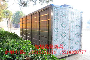 翱翔 放飛籠 訓放籠 賽鴿集裝箱產品展示