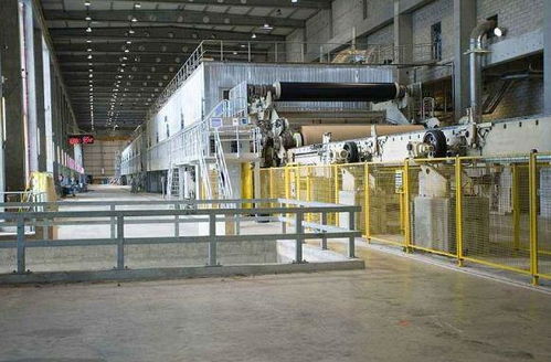 了解到內地紙張市場的巨大潛力,她成立公司,成就紙業王國